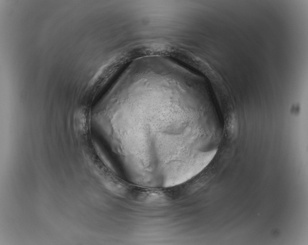X0000114210715200910231406