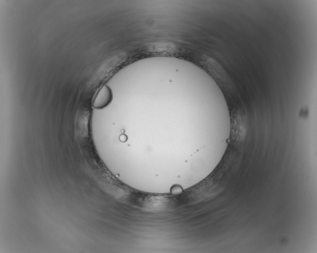 X0000114210717200910231406