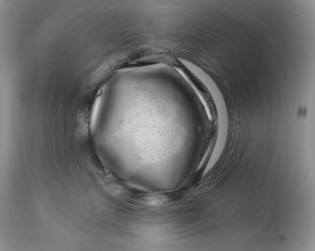 X0000114210719200910231406