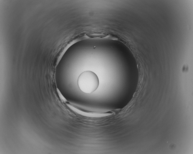 X0000114210720200910231406