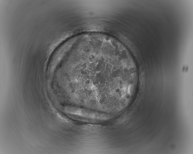 X0000114210721200910231405