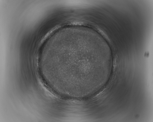 X0000114210722200910231405