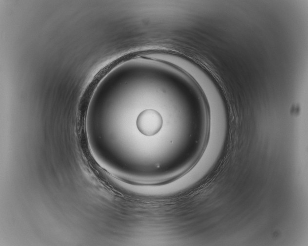 X0000114210724200910231405