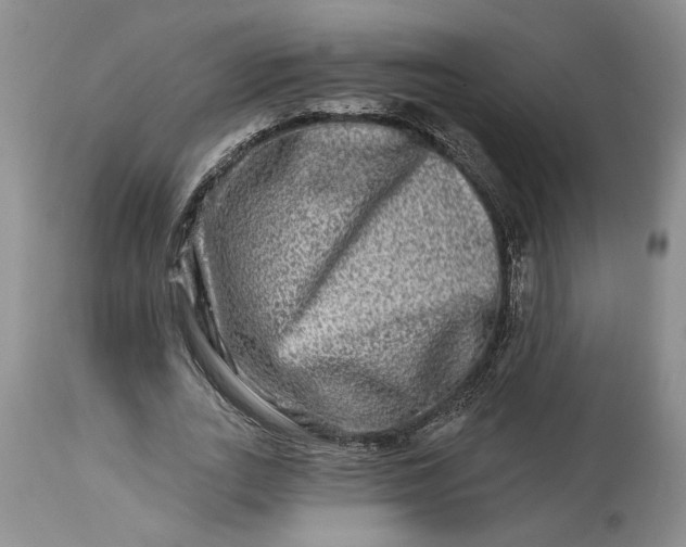 X0000114210727200910231405