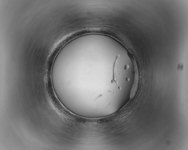 X0000114210728200910231405