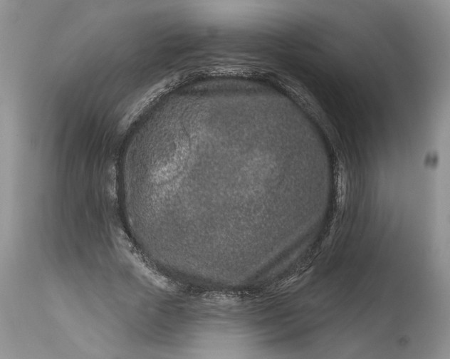 X0000114210729200910231405