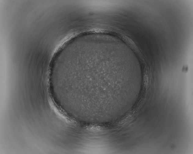 X0000114210730200910231405