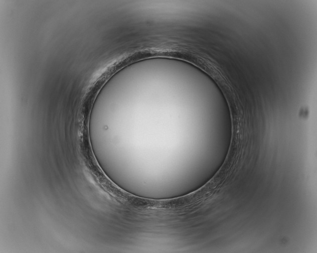 X0000114210732200910231405