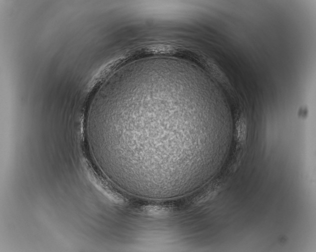 X0000114210733200910231405