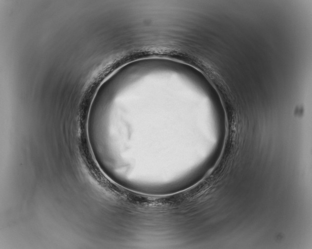 X0000114210734200910231405
