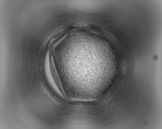 X0000114210735200910231405