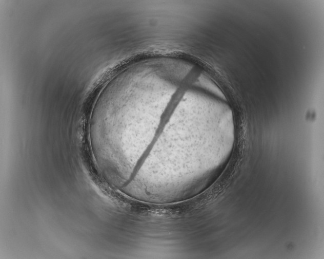 X0000114210736200910231405