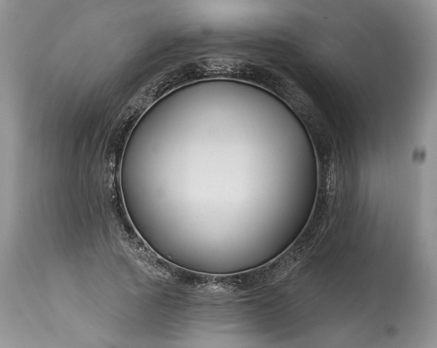 X0000114210737200910231405
