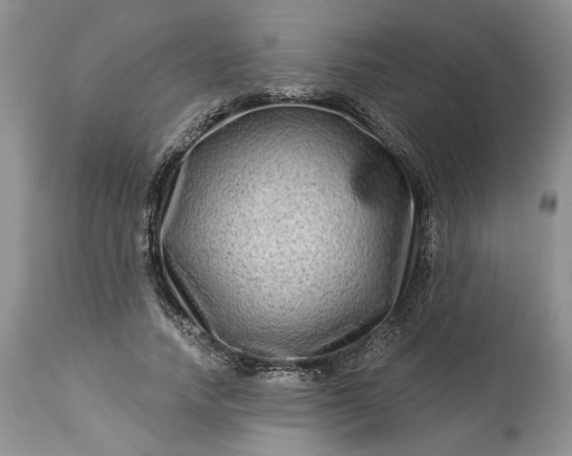 X0000114210738200910231405