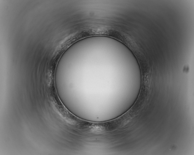 X0000114210741200910231406