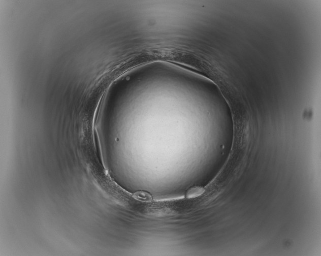 X0000114210747200910231406