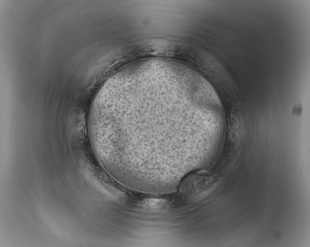 X0000114210748200910231406