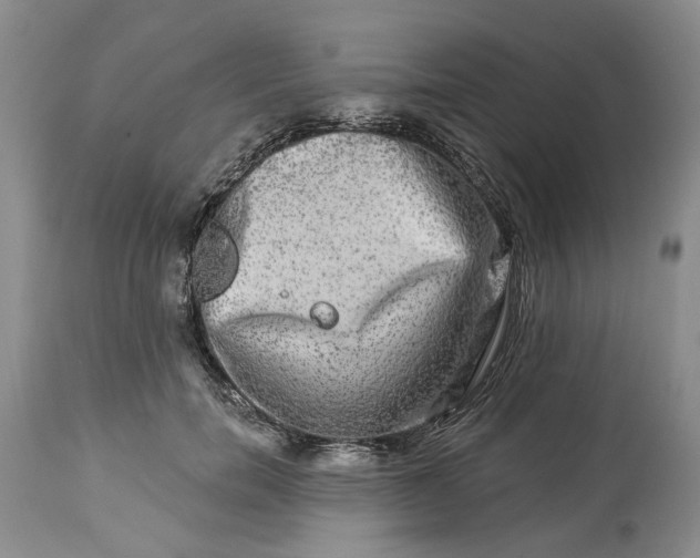 X0000114210750200910231406