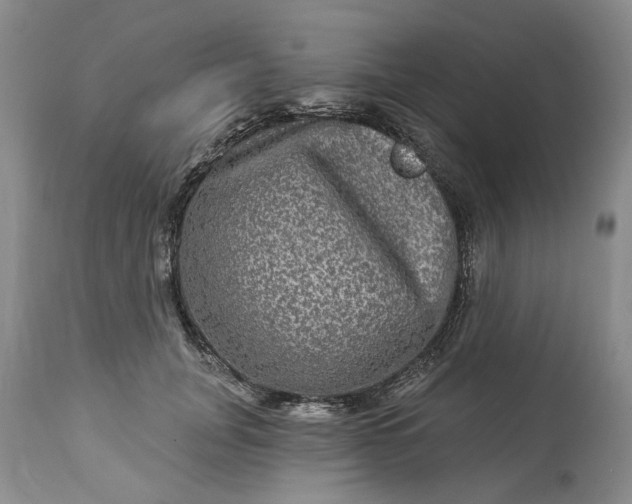 X0000114210751200910231406