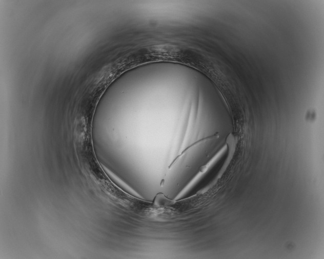 X0000114210752200910231406