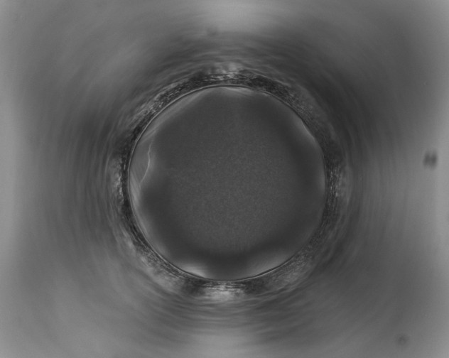 X0000114210754200910231406