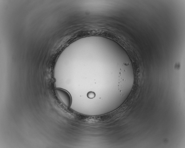 X0000114210756200910231406