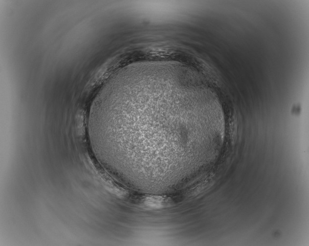 X0000114210757200910231406