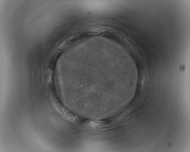 X0000114210758200910231406
