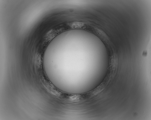 X0000114210761200910231406