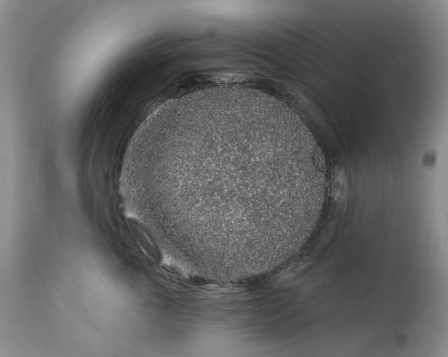 X0000114210763200910231406