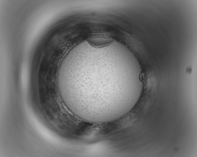 X0000114210764200910231406