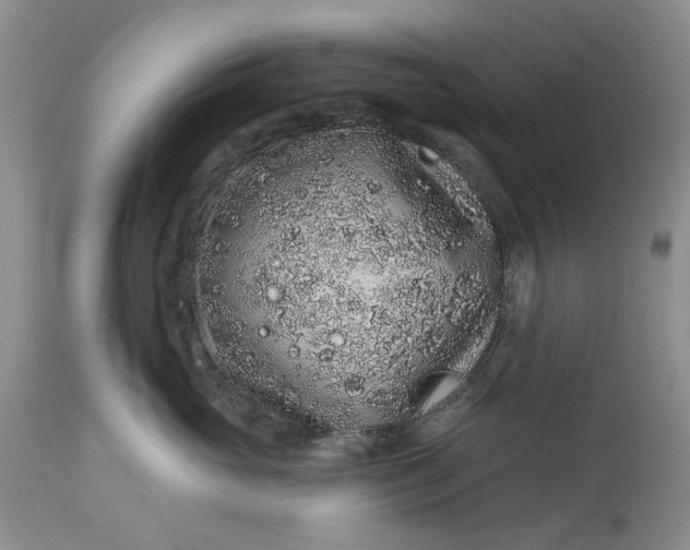X0000114210765200910231406