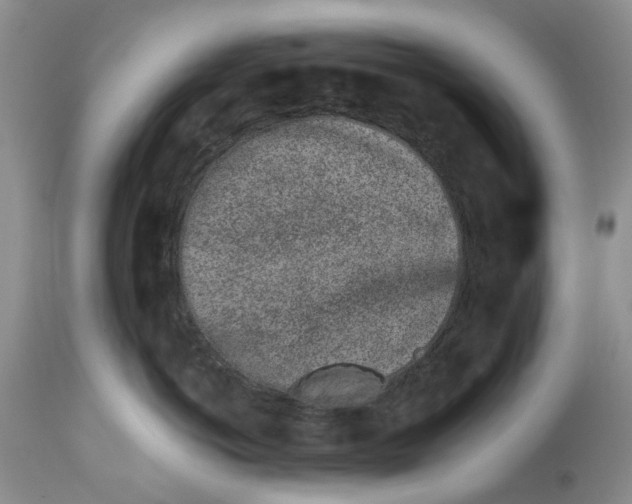 X0000114210766200910231406