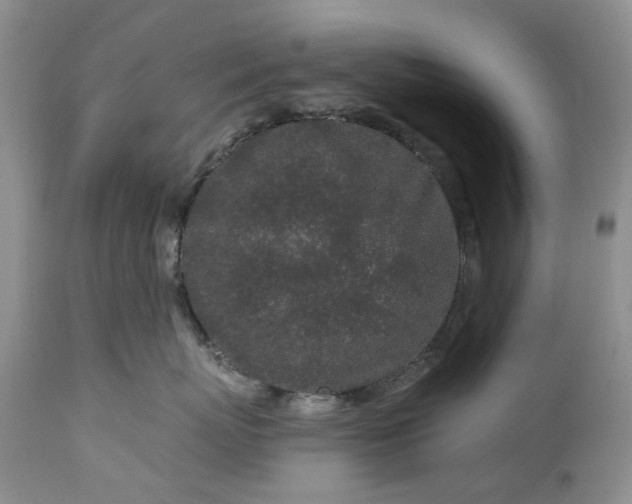 X0000114210767200910231406