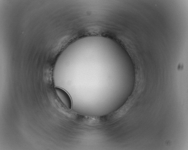 X0000114210768200910231406