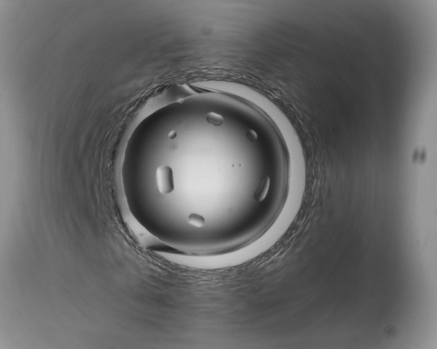 X0000114210769200910231405