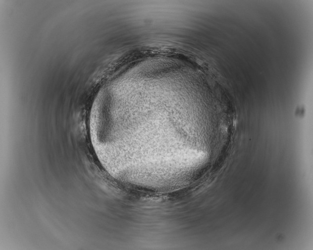 X0000114210771200910231405