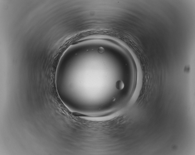 X0000114210773200910231405