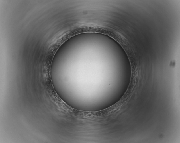X0000114210774200910231405