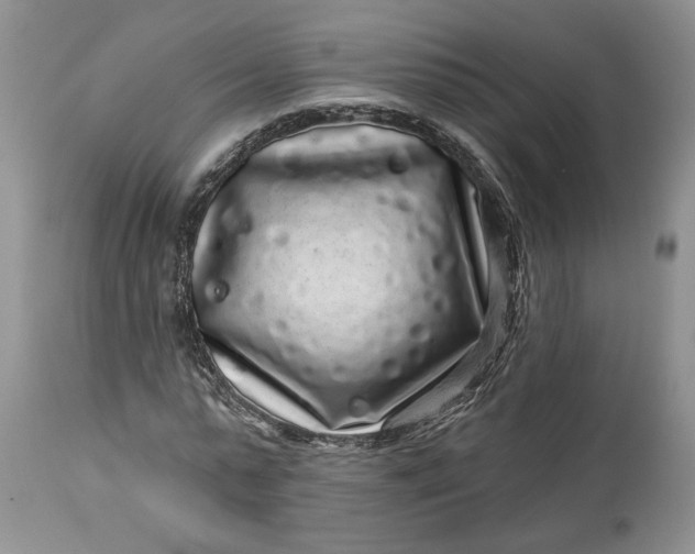 X0000114210775200910231405