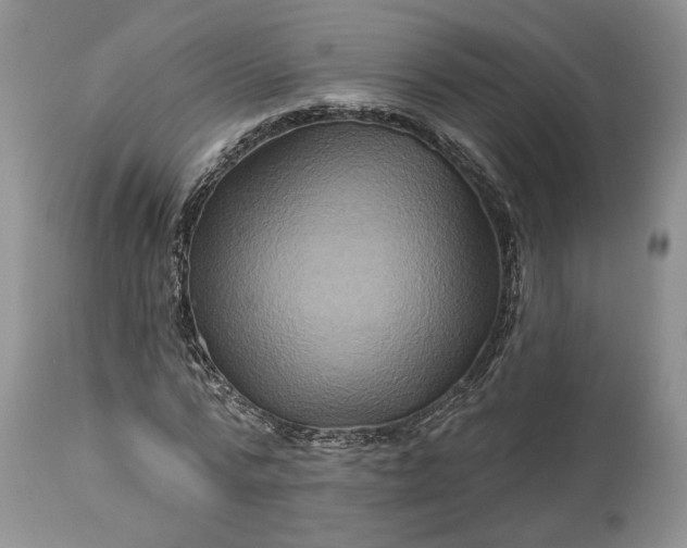 X0000114210776200910231405