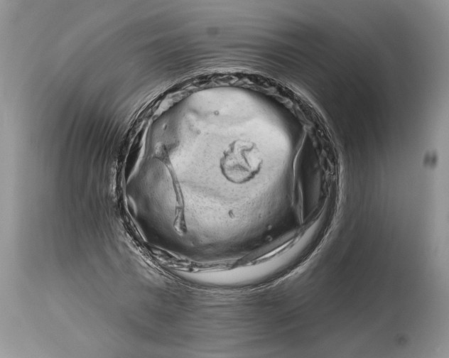 X0000114210777200910231405