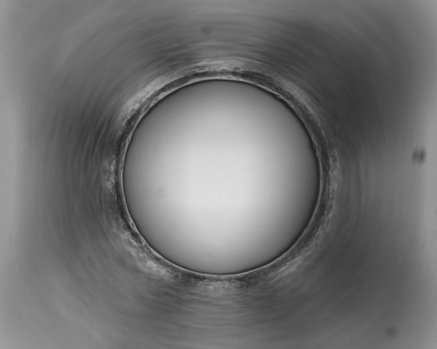 X0000114210778200910231405