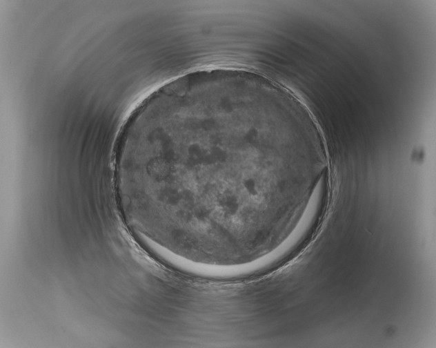 X0000114210779200910231405