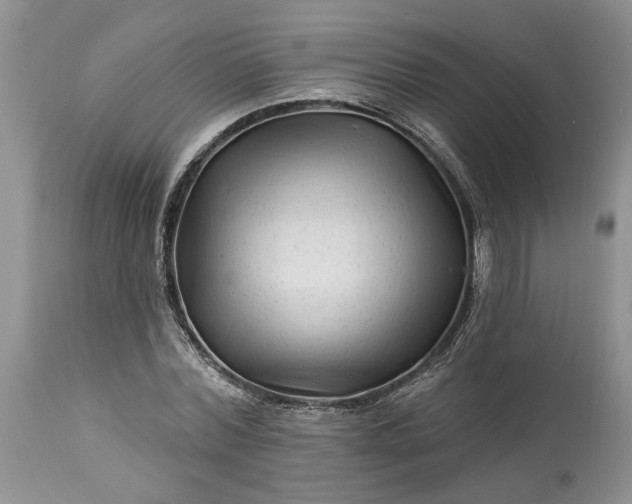 X0000114210780200910231405