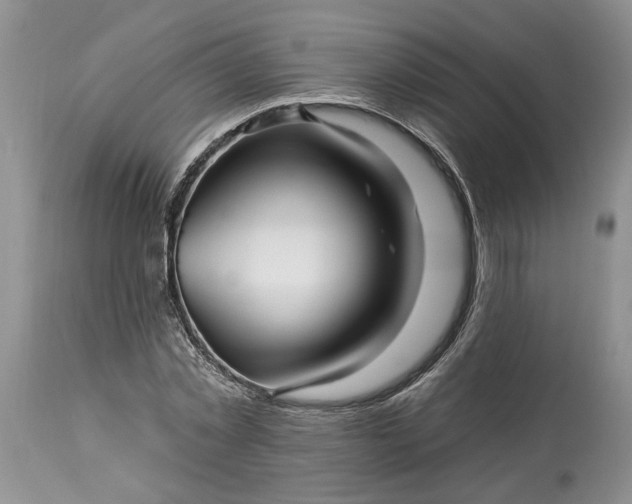 X0000114210781200910231405