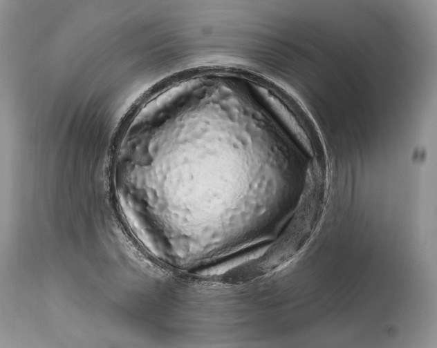 X0000114210783200910231405