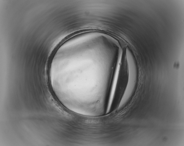 X0000114210788200910231405
