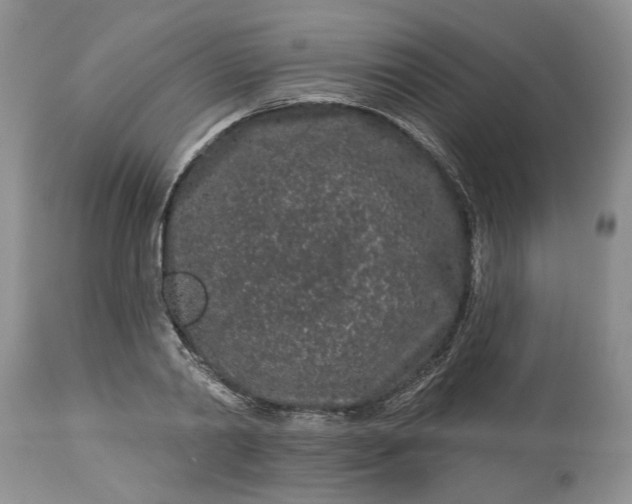 X0000114210790200910231405