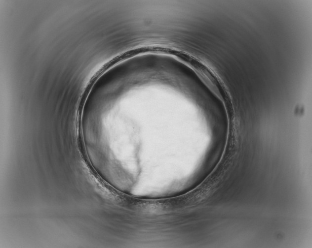 X0000114210791200910231405